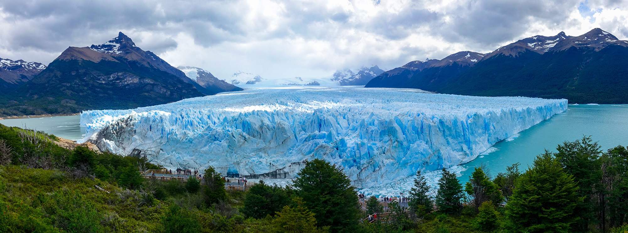 calafate perito moreno